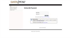 Desktop Screenshot of dpnetbill.com